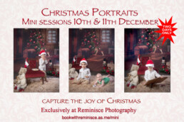Christmas photos, Christmas mini photos, Children's Photos,