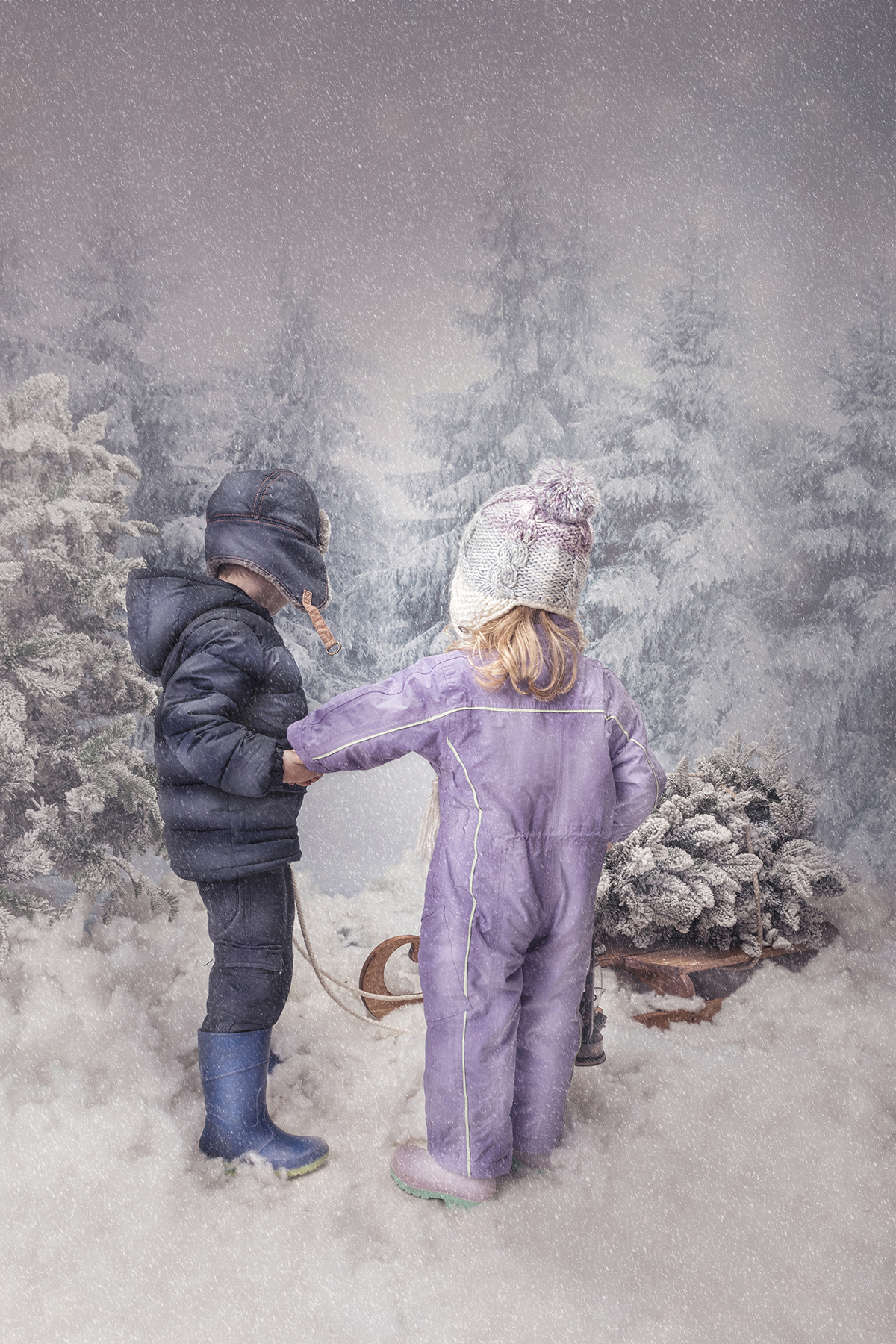 Christmas photos, Christmas mini photos, Snow photos