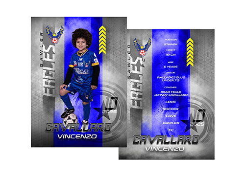 Fine Art Sports Portrait